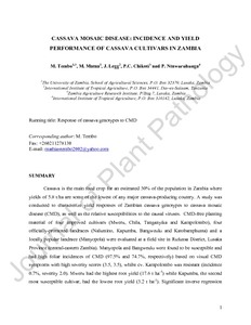 Cassava mosaic disease: incidence and yield performance of cassava cultivars in Zambia