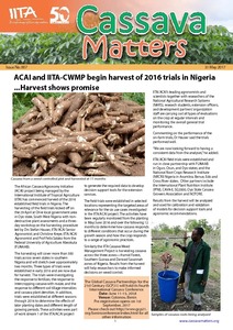 Cassava Matters