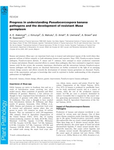 Progress in understanding Pseudocercospora banana pathogens and the development of resistant Musa germplasm
