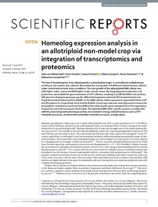 Homeolog expression analysis in an allotriploid non-model crop via integration of transcriptomics and proteomics
