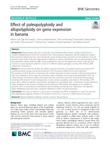 Effect of paleopolyploidy and allopolyploidy on gene expression in banana