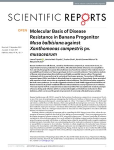 Molecular basis of disease resistance in banana progenitor Musa Balbisiana against Xanthomonas Campestris pv. Musacearum