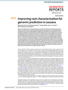 Improving root characterisation for genomic prediction in cassava