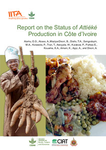 Report on the status of Attiéké production in Côte d’Ivoire