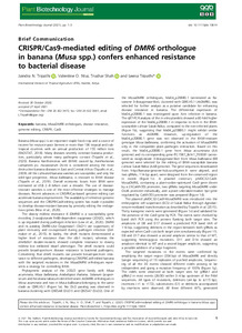 CRISPR/Cas9-mediated editing of DMR6 orthologue in banana (Musa spp.) confers enhanced resistance to bacterial disease