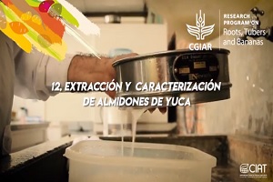 Extracción y caracterización de almidones