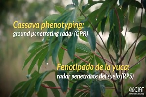 Radar penetrante del suelo para monitoreo de crecimiento de raíces