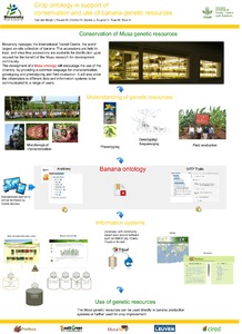 Crop ontology in support of conservation and use of banana genetic resources