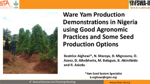 Ware yam production demonstrations in Nigeria using good agronomic practices and some seed production options