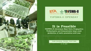 YIIFSWA II OPENDAY - Food Testing