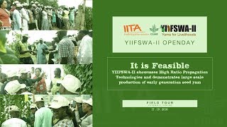 YIIFSWA II OPENDAY - YIIFSWA Field Tour