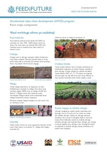 Viazi mviringo elimu ya uzalishaji: Feed the Future Kenya Accelerated Value Chain Development Program—Root crops component