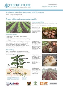 Accelerated value chain development (AVCD) program: Root crops component: Proper hilling to improve potato yields
