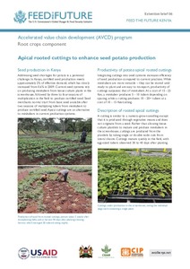 Apical rooted cuttings to enhance seed potato production: Feed the Future Kenya Accelerated Value Chain Development Program—Root crops component