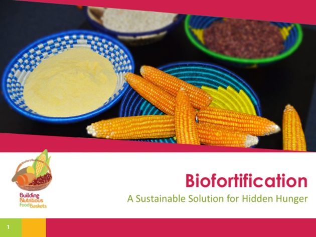 Training of trainers (ToT) module on biofortification: A sustainable solution to hidden hunger. Guidance slides.