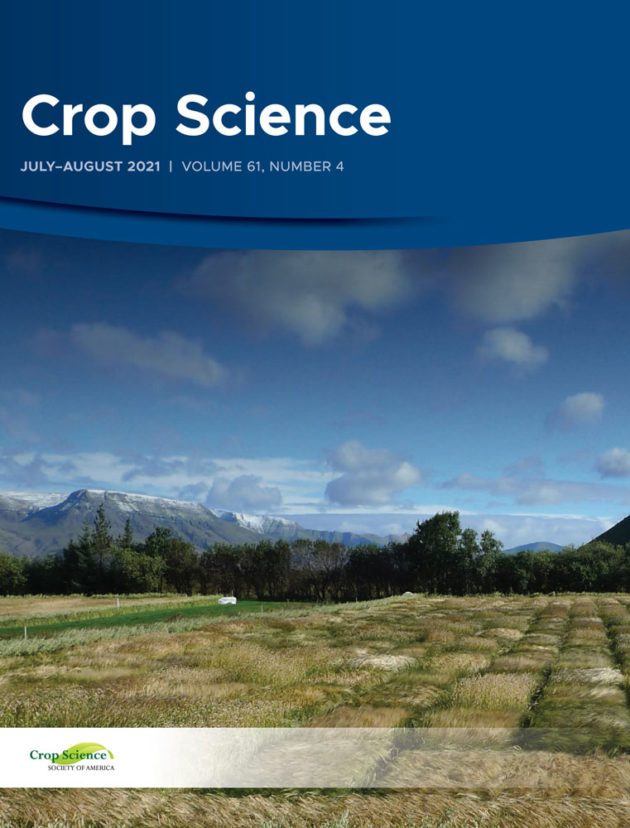 Genetic diversity determined by agronomic traits and SSR markers in two South American orange‐fleshed sweetpotato breeding populations with potential for population hybrid breeding