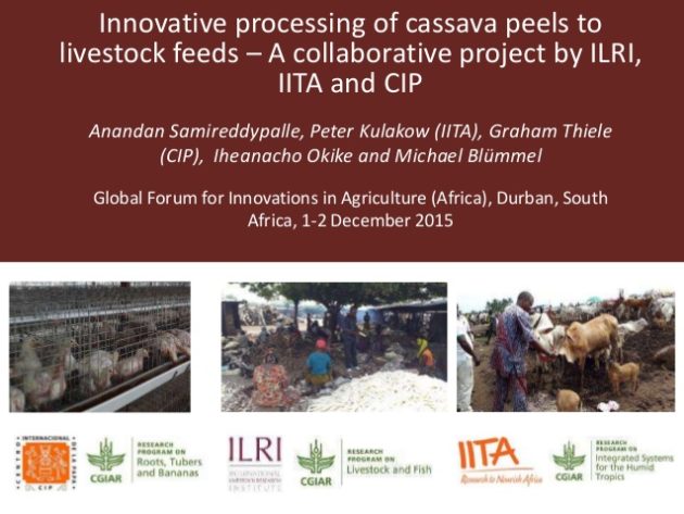 Innovative processing of cassava peels to livestock feeds—A collaborative project by ILRI, IITA and CIP