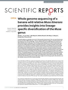Whole genome sequencing of a banana wild relative Musa itinerans provides insights into lineage-specific diversification of the Musa genus