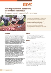 Promoting employment, food security and nutrition in Mozambique. Sweetpotato-based job-opportunities for young people. Project profile.