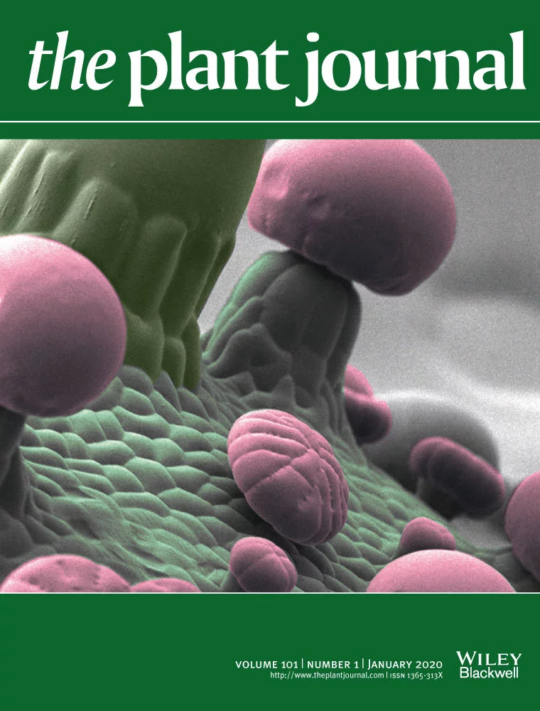 Metabolite database for root, tuber and banana crops to facilitate modern breeding in understudied crops