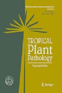 Detection of Ralstonia solanacearum phylotype II, race 2 causing Moko disease and validation of genetic resistance observed in the hybrid plantain FHIA-21